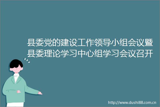 县委党的建设工作小组会议暨县委理论学习中心组学习会议召开