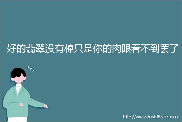 好的翡翠没有棉只是你的肉眼看不到罢了