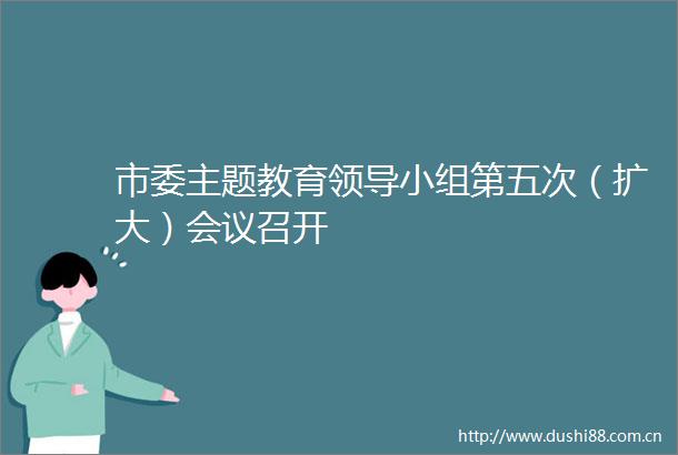 市委主题教育小组第五次（扩大）会议召开