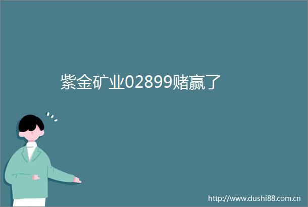 紫金矿业02899赌赢了