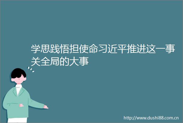 学思践悟担使命推进这一事关全局的大事