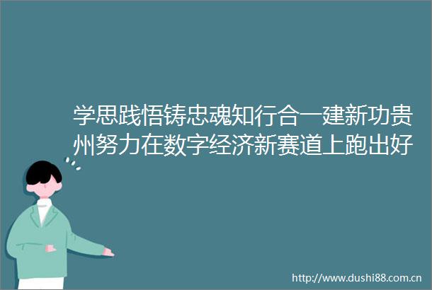 学思践悟铸忠魂知行合一建新功贵州努力在数字经济新赛道上跑出好成绩