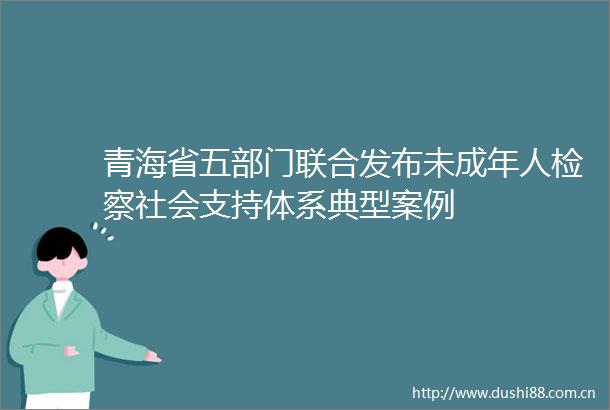 青海省五部门联合发布未成年人检察社会支持体系典型案例