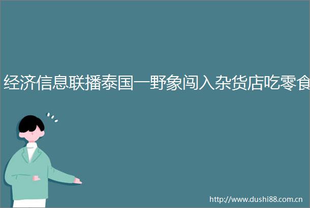 经济信息联播泰国一野象闯入杂货店吃零食