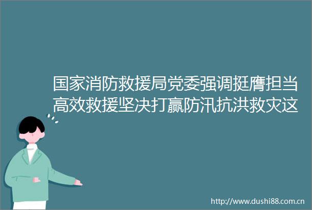 消防救援局党委强调挺膺担当高效救援坚决打赢防汛抗洪救灾这场硬仗