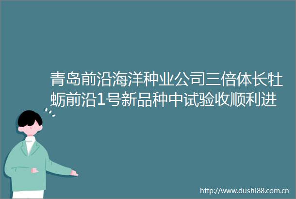 青岛前沿海洋种业公司三倍体长牡蛎前沿1号新品种中试验收顺利进行