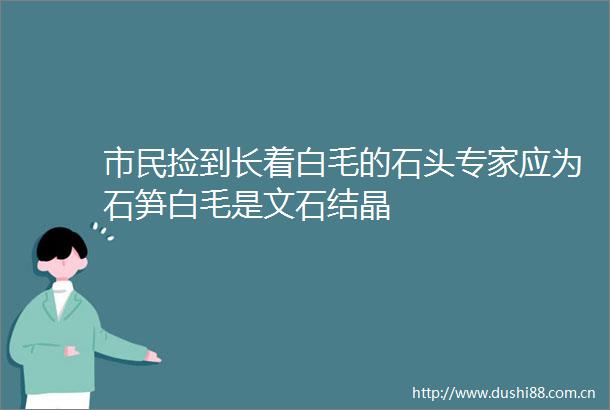 市民捡到长着白毛的石头专家应为石笋白毛是文石结晶
