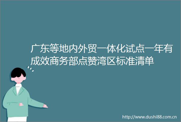 广东等地内外贸一体化试点一年有成效商务部点赞湾区标准清单