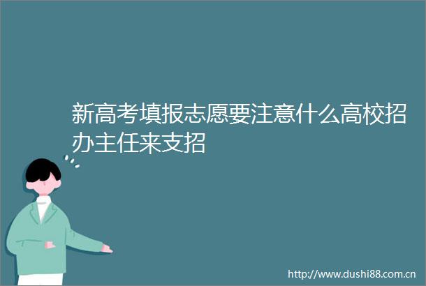新高考填报志愿要注意什么高校招办主任来支招