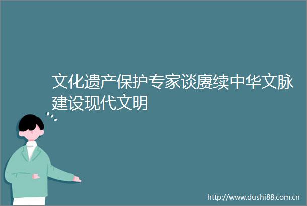 文化遗产保护专家谈赓续中华文脉建设现代文明