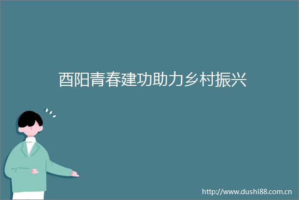 酉阳青春建功助力乡村振兴
