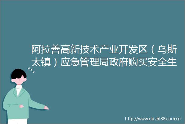 阿拉善高新技术产业开发区（乌斯太镇）应急管理局购买安全生产技术服务（第三方隐患排查项目）中标（成交）结果公告