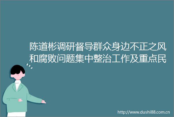 陈道彬调研督导群众身边不正之风和问题集中整治工作及重点民生实事推进情况