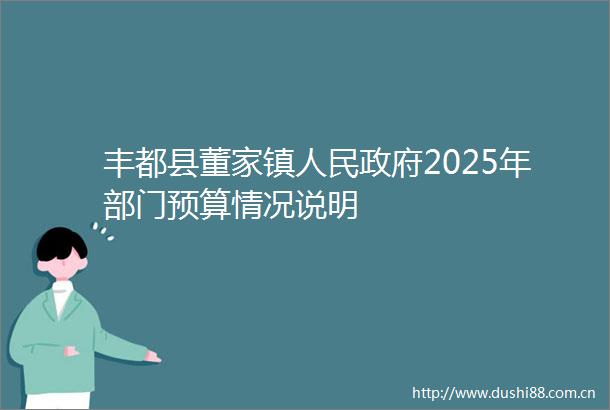 丰都县董家镇2025年部门预算情况说明
