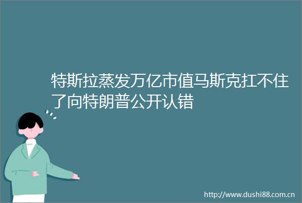 特斯拉蒸发万亿市值马斯克扛不住了向特朗普公开认错