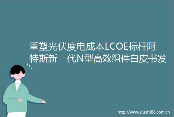 重塑光伏度电成本LCOE标杆阿特斯新一代N型高效组件白皮书发布