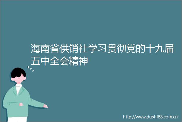 海南省供销社学习贯彻党的十九届五中全会精神