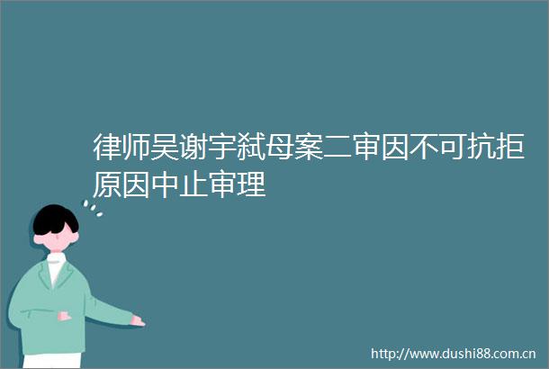 律师吴谢宇弑母案二审因不可抗拒原因中止审理