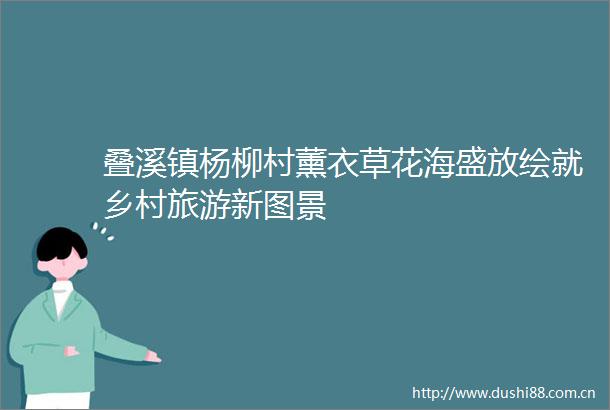 叠溪镇杨柳村薰衣草花海盛放绘就乡村旅游新图景