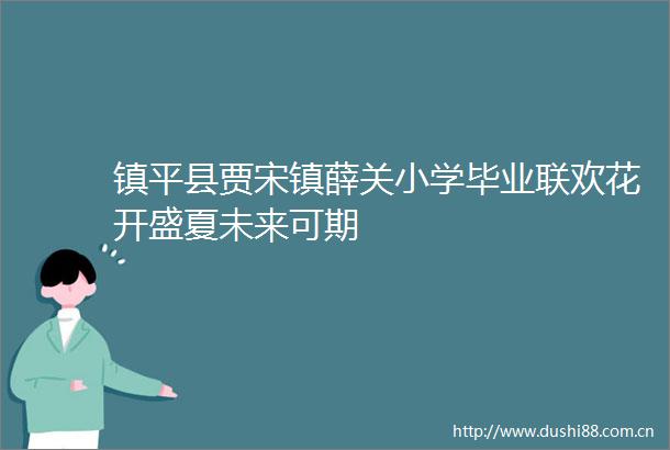 镇平县贾宋镇薛关小学毕业联欢花开盛夏未来可期