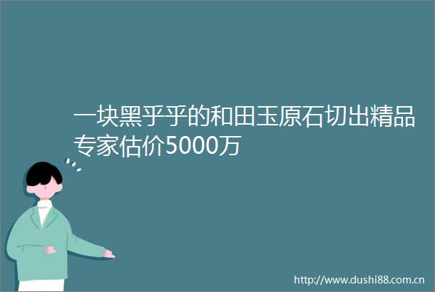 一块黑乎乎的和田玉原石切出精品专家估价5000万
