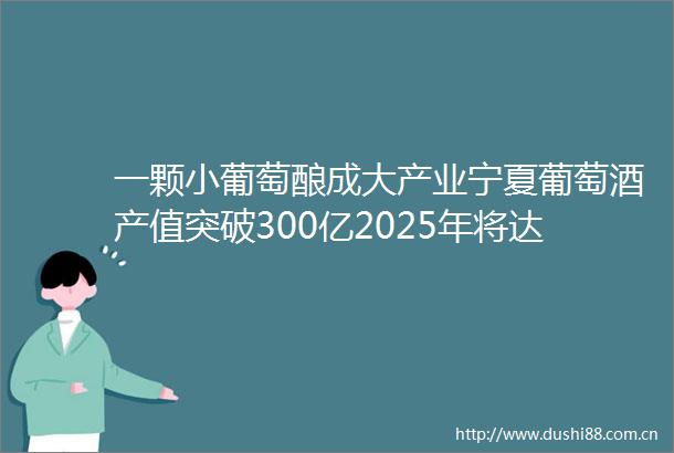 一颗小葡萄酿成大产业宁夏葡萄酒产值突破300亿2025年将达千亿