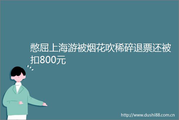 憋屈上海游被烟花吹稀碎退票还被扣800元