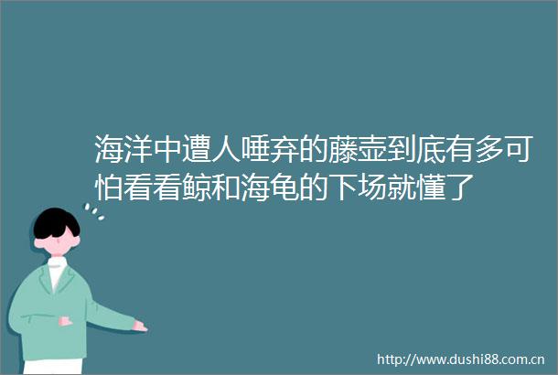 海洋中遭人唾弃的藤壶到底有多可怕看看鲸和海龟的下场就懂了