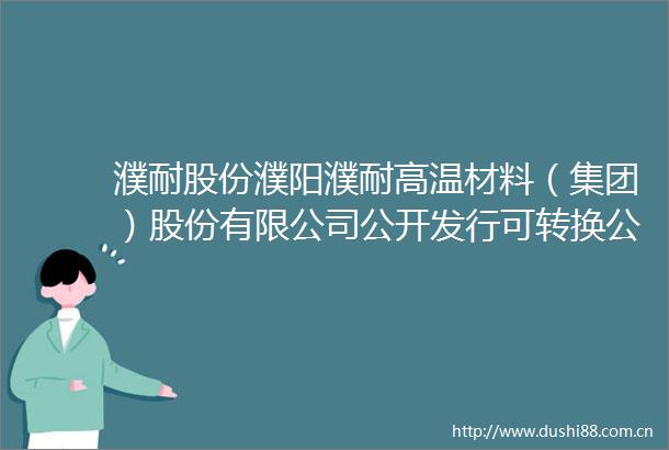 濮耐股份濮阳濮耐高温材料（集团）股份有限公司公开发行可转换公司债券受托管理事务报告（2024年度）