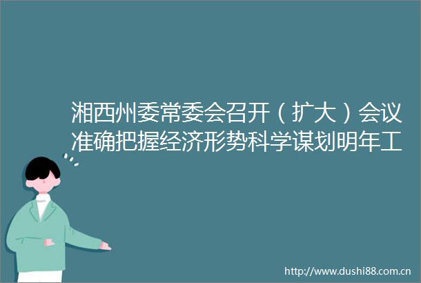 湘西州委常委会召开（扩大）会议准确把握经济形势科学谋划明年工作更加奋发有为推动高质量发展
