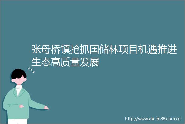 张母桥镇抢抓国储林项目机遇推进生态高质量发展