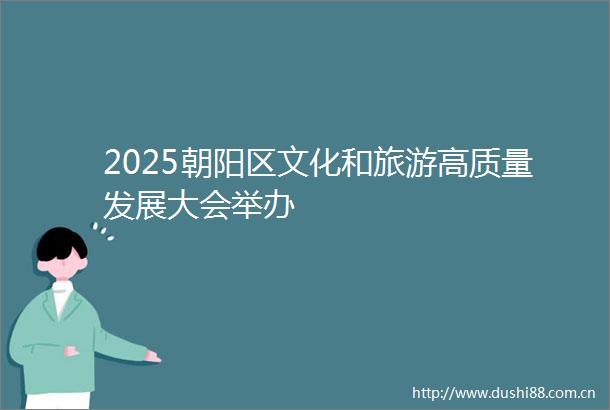 2025朝阳区文化和旅游高质量发展大会举办