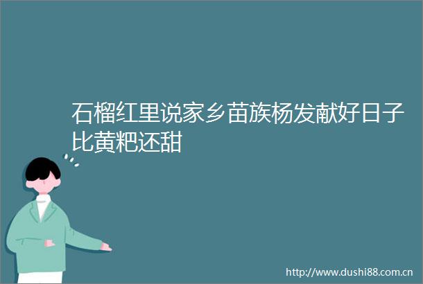 石榴红里说家乡苗族杨发献好日子比黄粑还甜