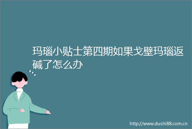 玛瑙小贴士第四期如果戈壁玛瑙返碱了怎么办