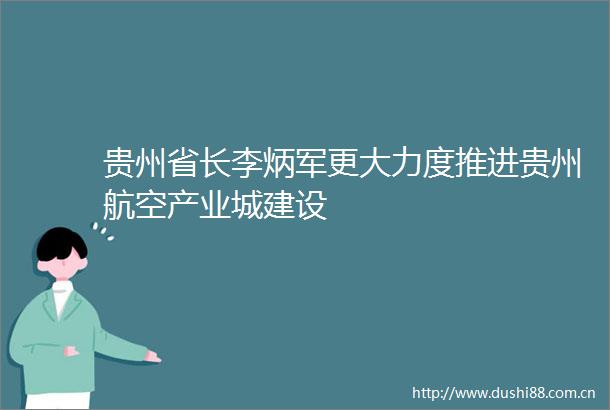 贵州省长李炳军更大力度推进贵州航空产业城建设