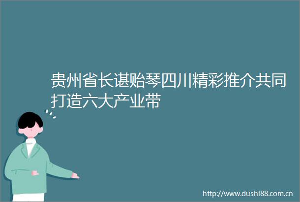 贵州省长谌贻琴四川精彩推介共同打造六大产业带