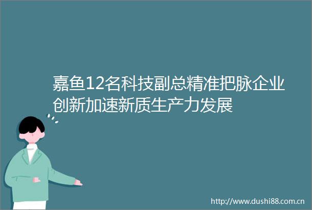 嘉鱼12名科技副总精准把脉企业创新加速新质生产力发展