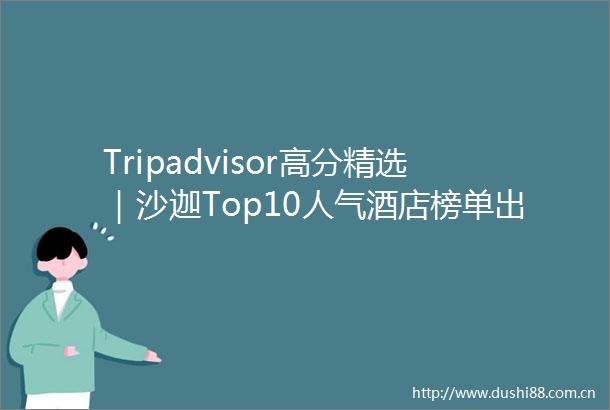 Tripadvisor高分精选｜沙迦Top10人气酒店榜单出炉