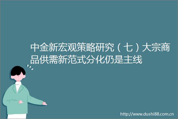 中金新宏观策略研究（七）大宗商品供需新范式分化仍是主线
