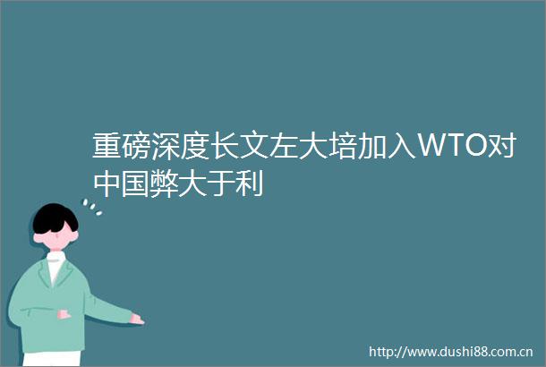 重磅深度长文左大培加入WTO对弊大于利