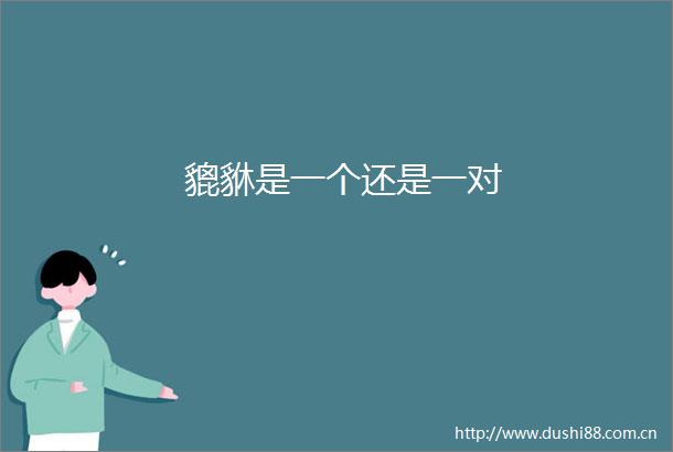 貔貅是一个还是一对