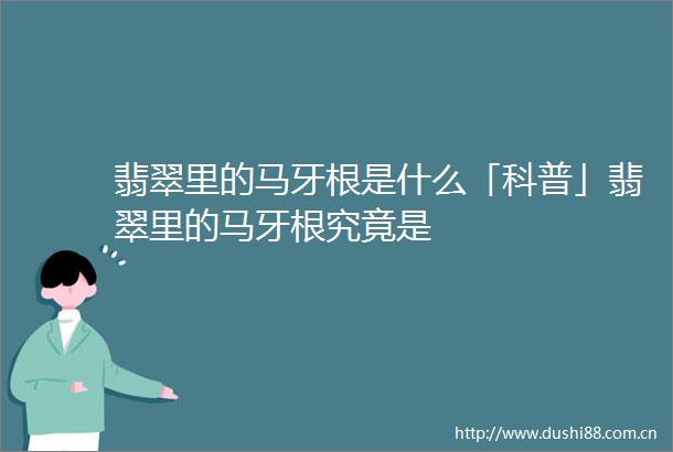 翡翠里的马牙根是什么「科普」翡翠里的马牙根究竟是