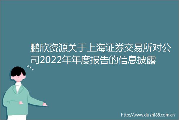 鹏欣资源关于上海证券交易所对公司2022年年度报告的信息披露监管工作函回复的公告