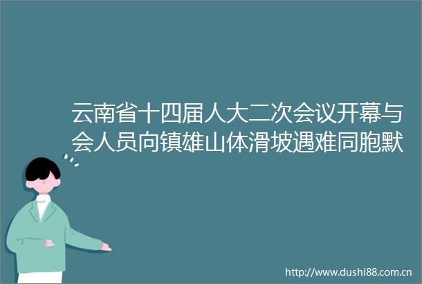 云南省十四届人大二次会议开幕与会人员向镇雄山体滑坡遇难同胞默哀