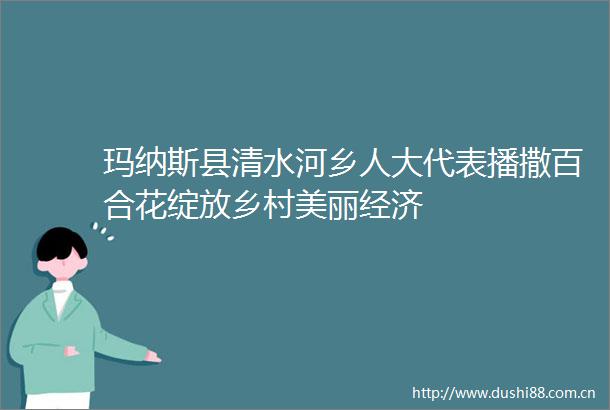 玛纳斯县清水河乡人大代表播撒百合花绽放乡村美丽经济