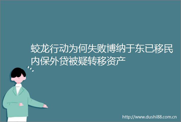 蛟龙行动为何失败博纳于东已移民内保外贷被疑转移资产