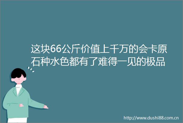 这块66公斤价值上千万的会卡原石种水色都有了难得一见的极品
