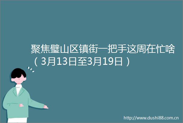 聚焦璧山区镇街一把手这周在忙啥（3月13日至3月19日）