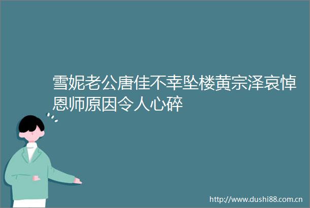 雪妮老公唐佳不幸坠楼黄宗泽哀悼恩师原因令人心碎