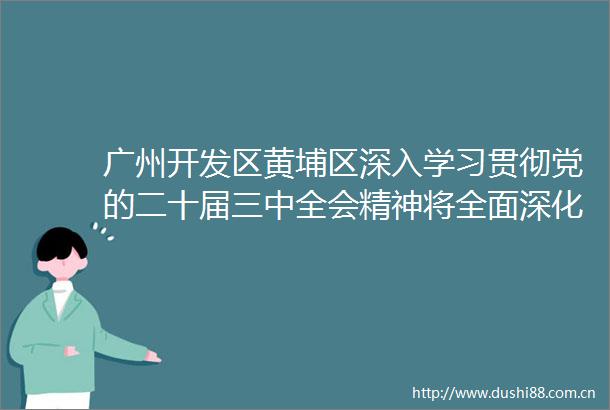 广州开发区黄埔区深入学习贯彻党的二十届三中全会精神将全面深化改革进行到底